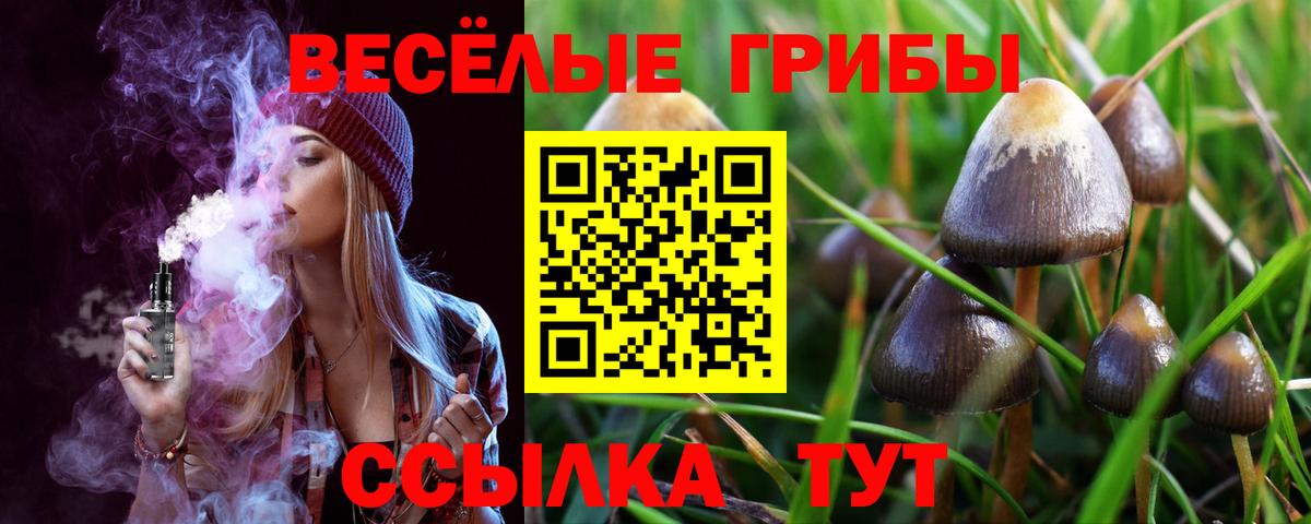 Галлюциногенные грибы Magic Shrooms Подольск