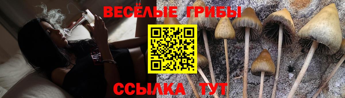 Псилоцибиновые грибы ЛСД  Псилоцибиновые грибы мухоморы  Вход с VPN  Подольск 